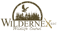 Wildernex LLC: Wildlife Control logo