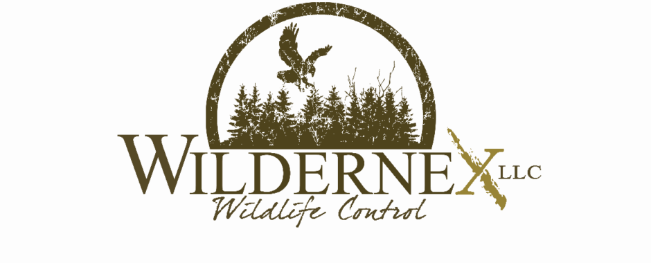 Wildernex LLC: Wildlife Control logo